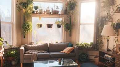 a living room filled with furniture and lots of plants