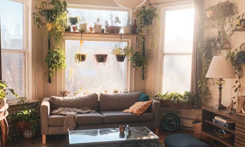 a living room filled with furniture and lots of plants