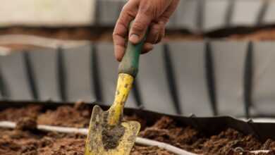 person holding yellow and green gardening shovel