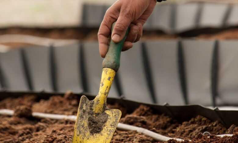 person holding yellow and green gardening shovel