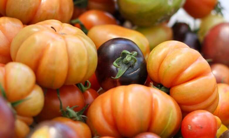 green and orange round fruits