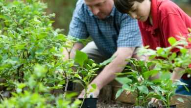 boy in blue and white checkered button up shirt holding green plant