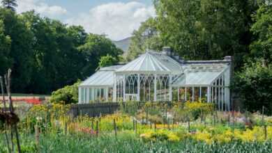 white and gray house surrounded by green trees