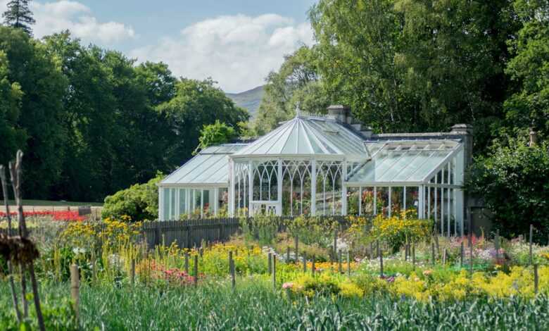 white and gray house surrounded by green trees