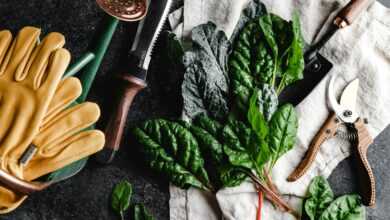 green leaves beside brown wooden rolling pin