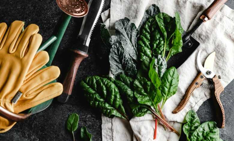 green leaves beside brown wooden rolling pin