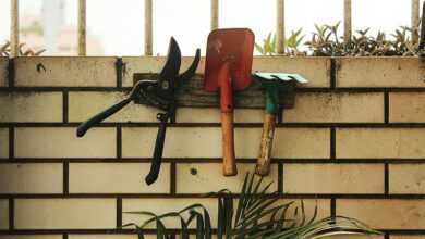 red shovel hanging on rack beside plant