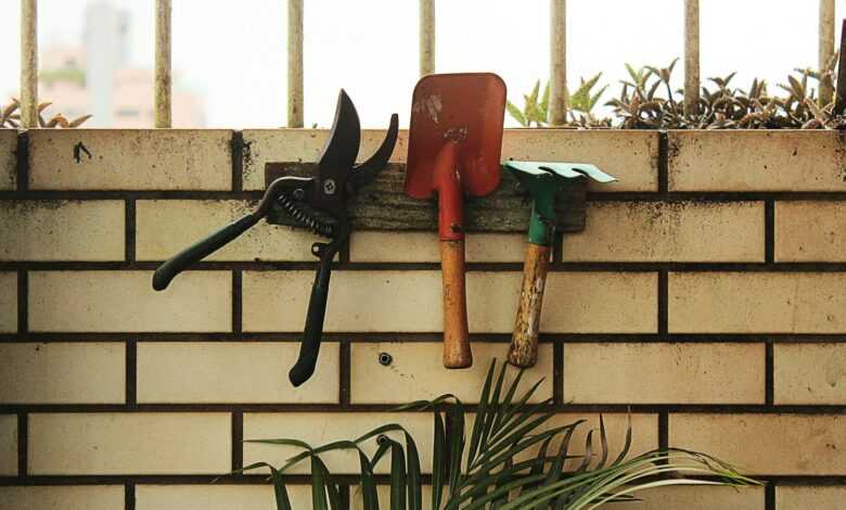 red shovel hanging on rack beside plant