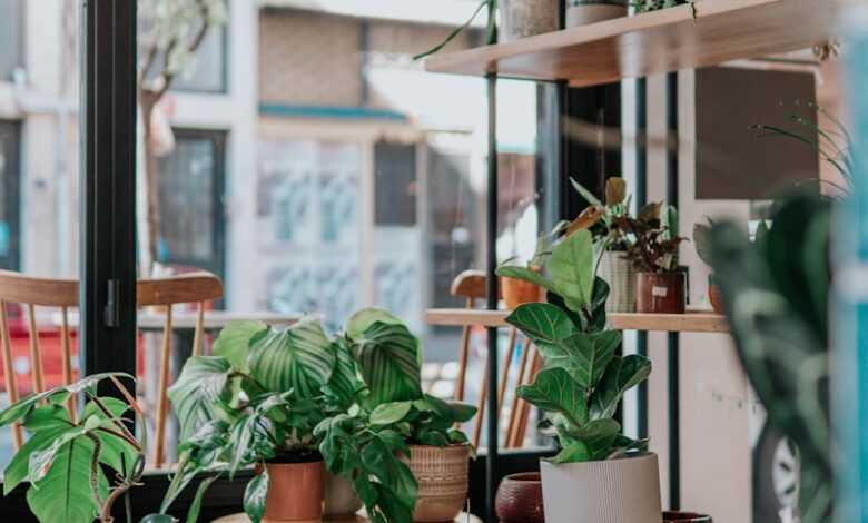 green potted plants on brown wooden seat