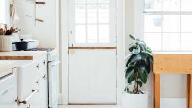 green potted leaf plant beside white wooden door