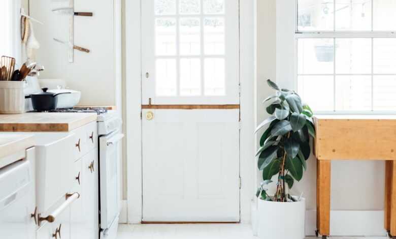 green potted leaf plant beside white wooden door