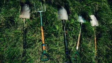 several shovels on grass