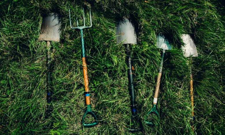 several shovels on grass