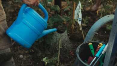 blue plastic watering can on black plastic bucket