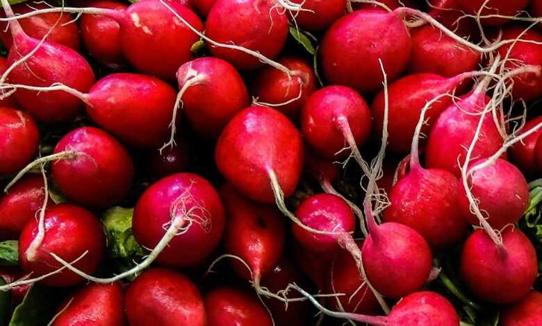 red round fruits on green grass