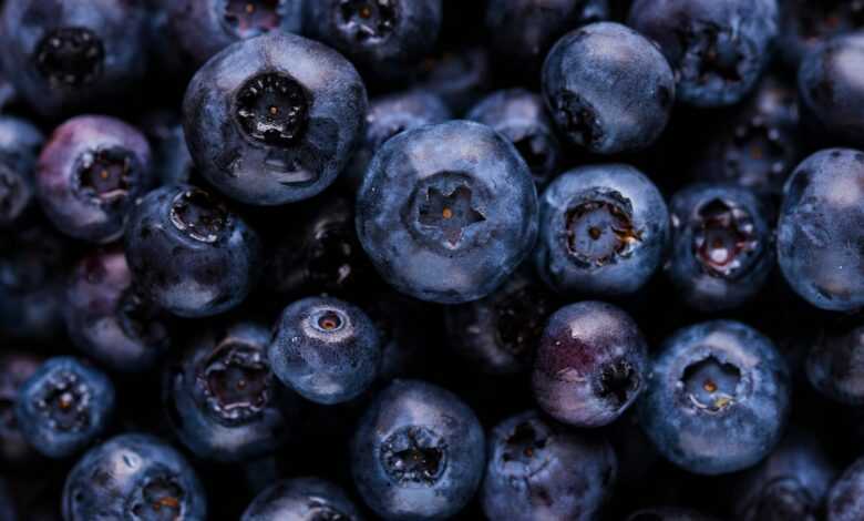 blueberry fruits