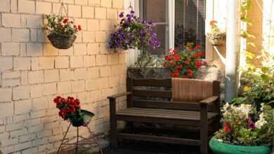 red and white flowers on brown wooden bench