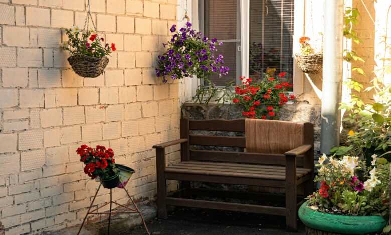 red and white flowers on brown wooden bench