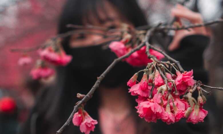 woman in black long sleeve shirt holding pink flower