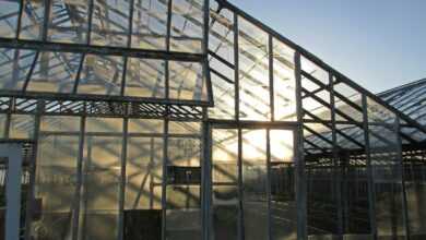 the sun is shining through the windows of a greenhouse