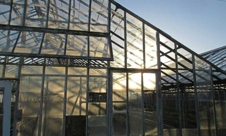 the sun is shining through the windows of a greenhouse