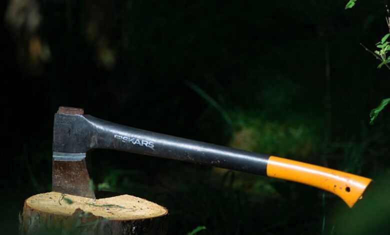 an axe stuck in a stump in the woods