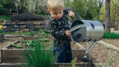 boy in black and white long sleeve shirt standing beside gray metal watering can during daytime