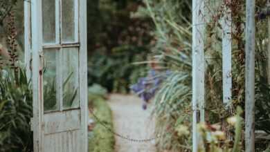 white metal greenhouse