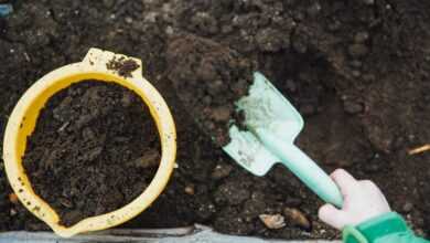 green garden shovel