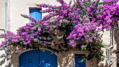 man standing infront of blue door