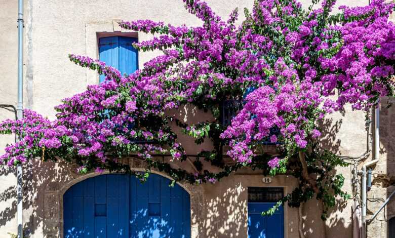 man standing infront of blue door