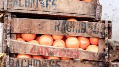 brown wooden crates with brown eggs