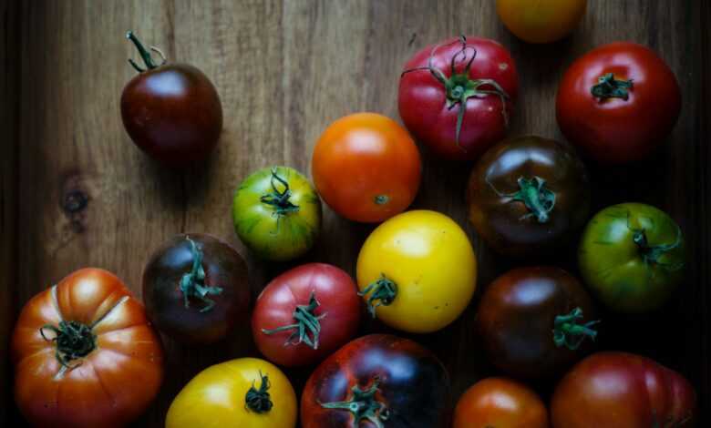 assorted-color tomatoes on brown wooden surface