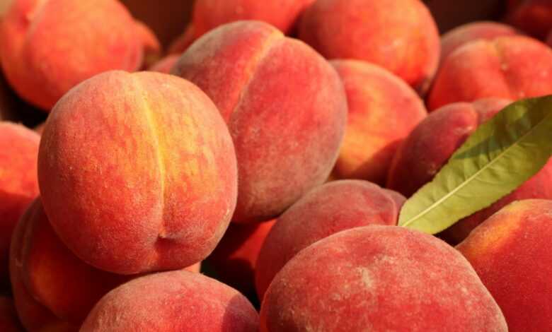 a pile of peaches with a leaf on top