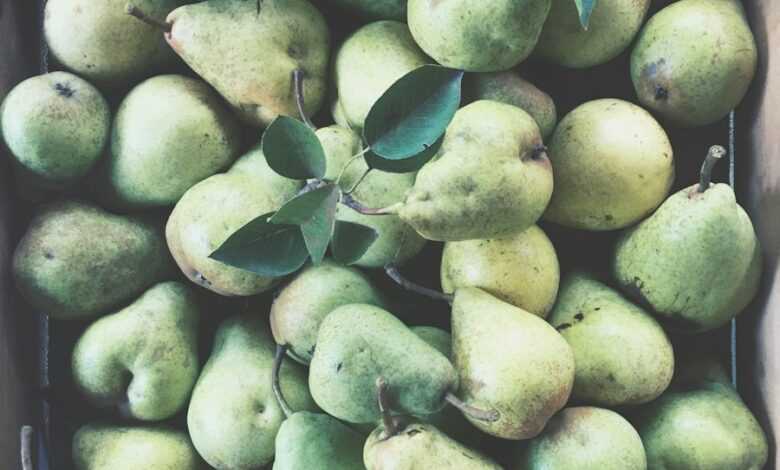 bunch of gourd fruits