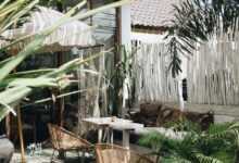 white table with brown wicker chair beside plants