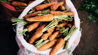 ripe carrots inside white net sack