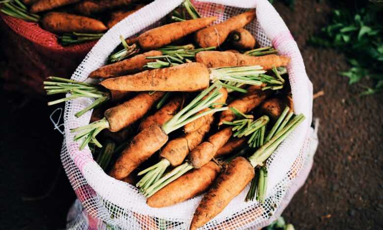 ripe carrots inside white net sack