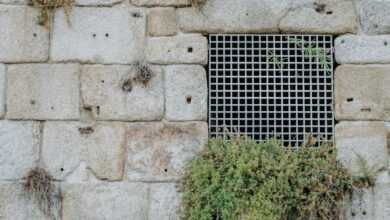 a brick wall with a window and plants growing on it