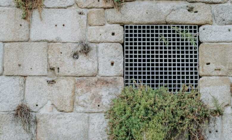 a brick wall with a window and plants growing on it