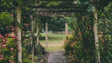 white and brown wooden garden arbor