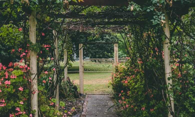 white and brown wooden garden arbor