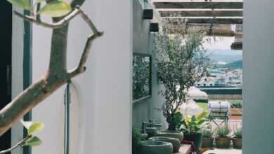 a view of a patio with a potted plant