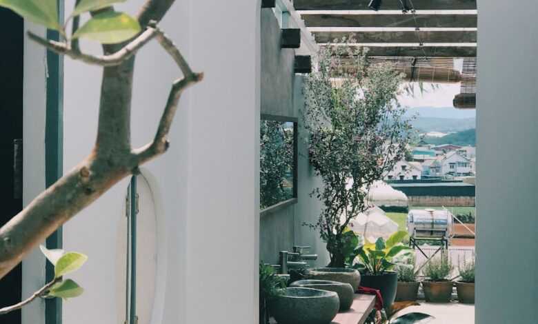 a view of a patio with a potted plant