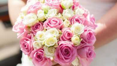pink roses on white table