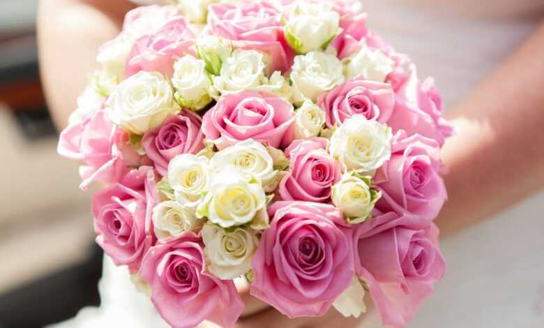 pink roses on white table