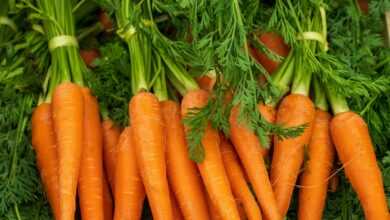 a pile of carrots with green tops and leaves