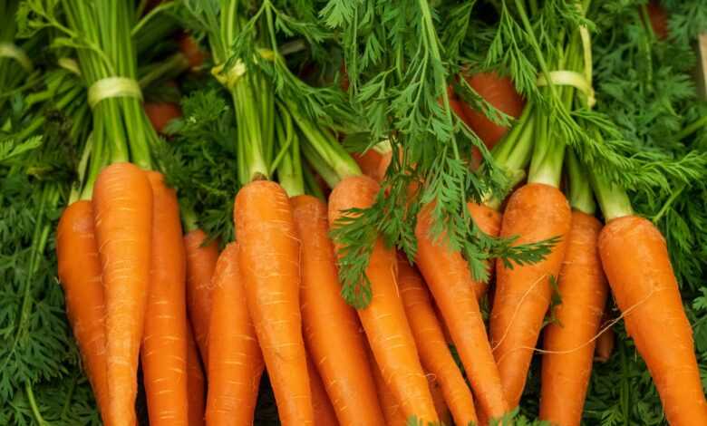 a pile of carrots with green tops and leaves