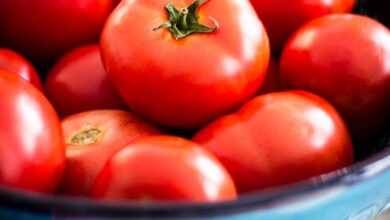 a bowl of red tomatoes