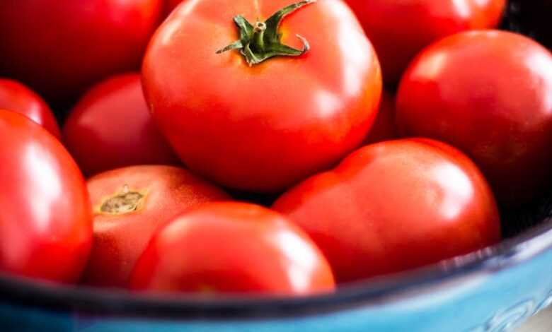 a bowl of red tomatoes